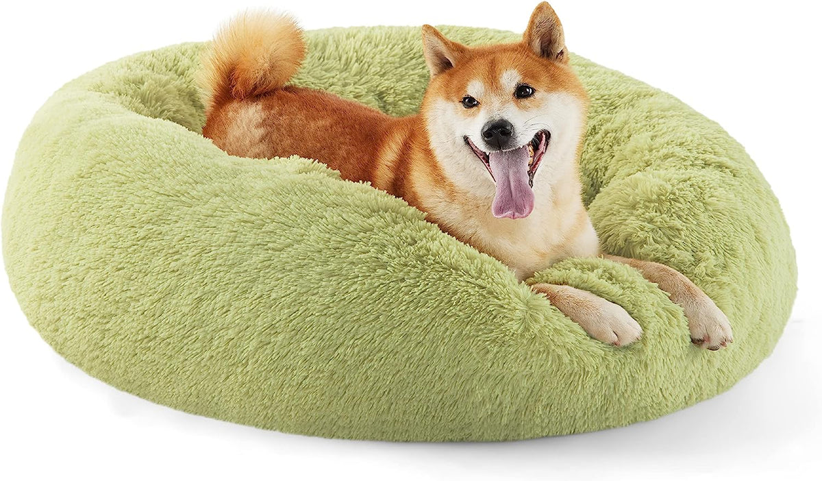 Green round faux fur donut bed with a happy tan dog lounging inside, tongue out