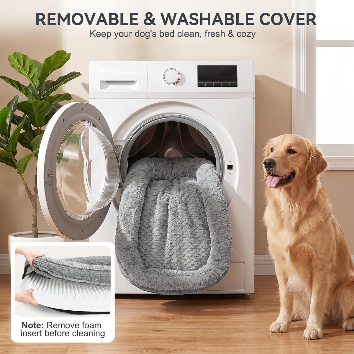 Gray oval dog bed with cover hanging out of a front-load washer and a golden retriever sitting beside it.