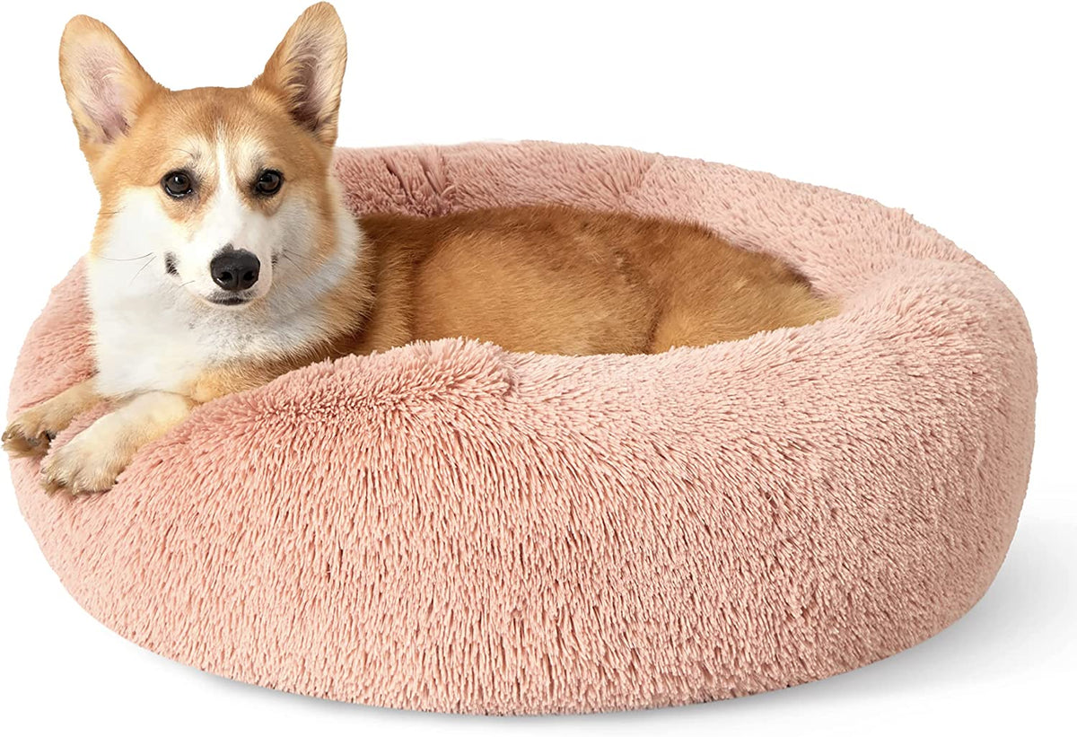 Three-quarter close view of a blush-pink round faux-fur donut bed with a corgi lying inside