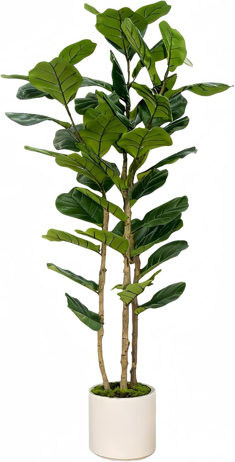 Artificial fiddle leaf fig tree in white nursery pot, full-height front view on a white background