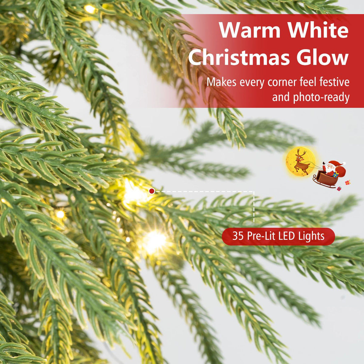 Warm lights glow among close-up evergreen branches against a pale background.