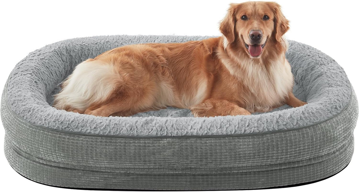 Front-facing close view of an oval bolster dog bed in a lighter gray with a golden retriever lying inside.
