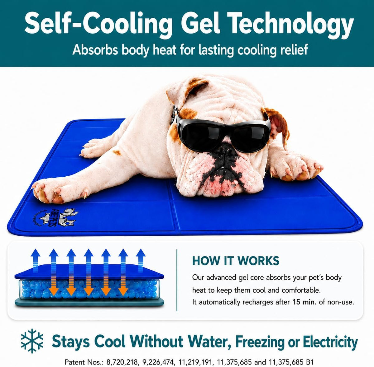 Bulldog wearing sunglasses sprawled on a blue mat above a gel-core cross‑section graphic