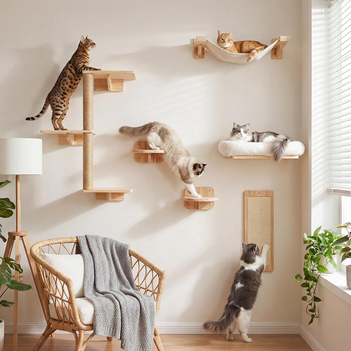 Wide angle of a wooden cat wall set featuring stepped platforms, a hammock and a vertical scratching panel beside a window