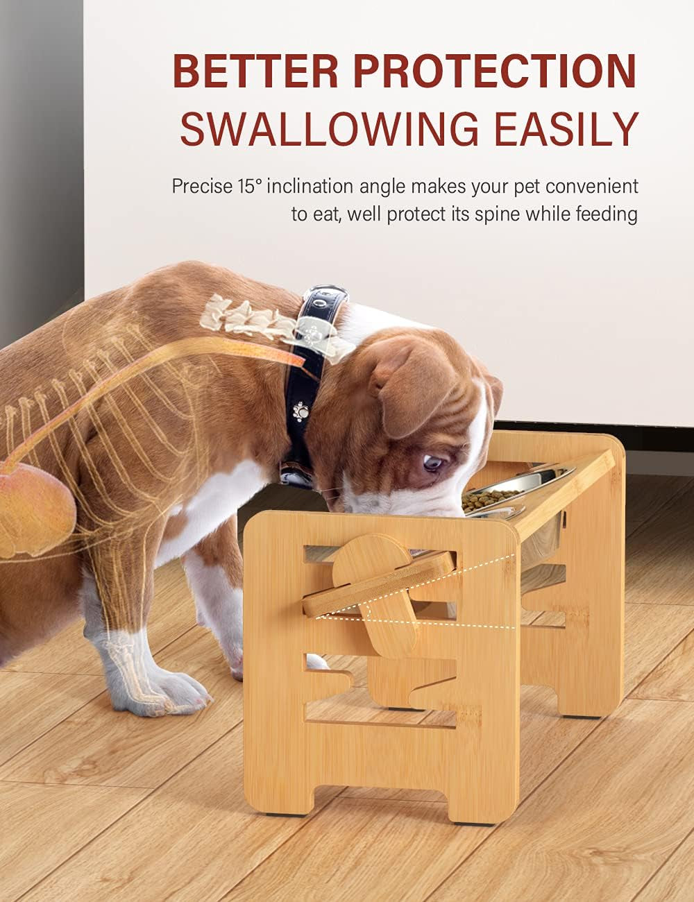 Dog eating from the raised bamboo stand with an illustrated spine overlay showing a tilted feeding angle.