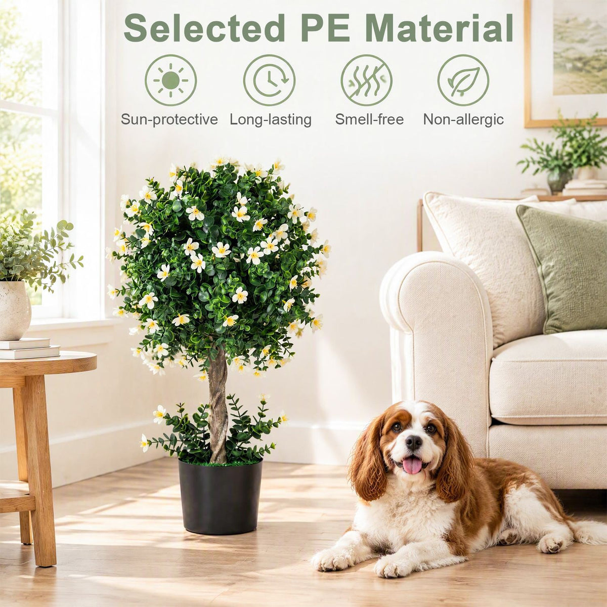 Flowering topiary in a black pot beside a sofa, with a dog resting on the floor.