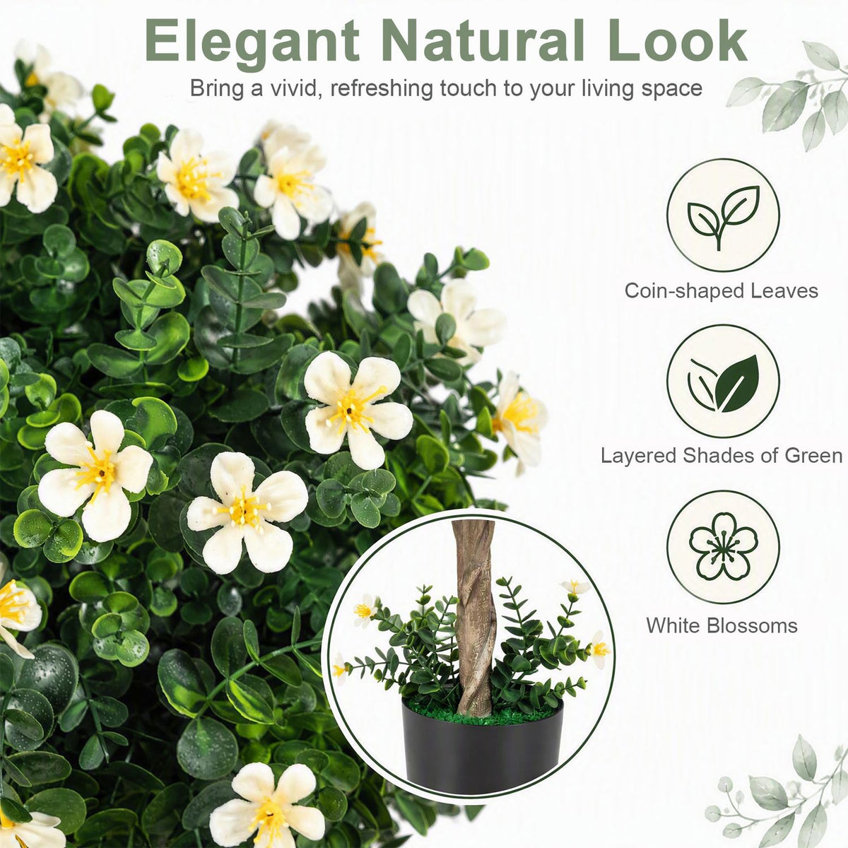 Close view of green rounded leaves and white blossoms, with a circular inset of the potted tree base.
