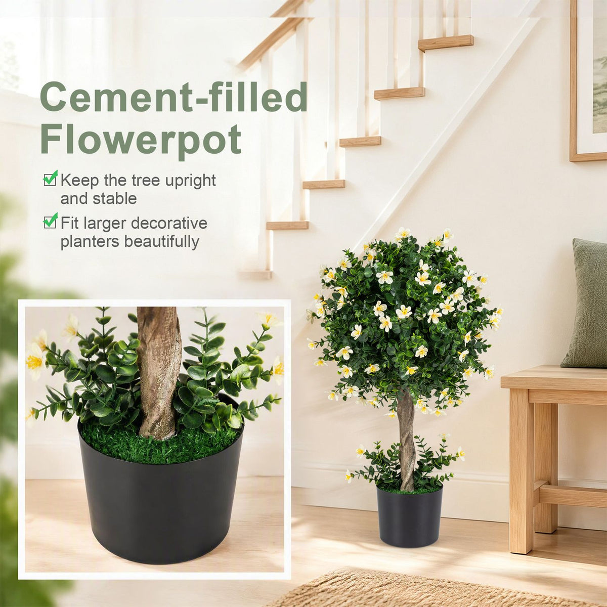 Potted flowering topiary in a bright room, alongside a close-up of its black planter and trunk.