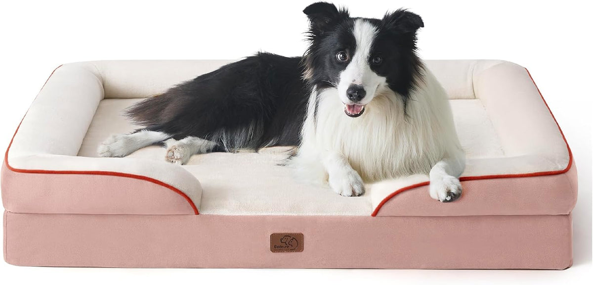 Front view of a pink bolster bed with cream sleeping surface and red piping, a black-and-white dog lounging inside