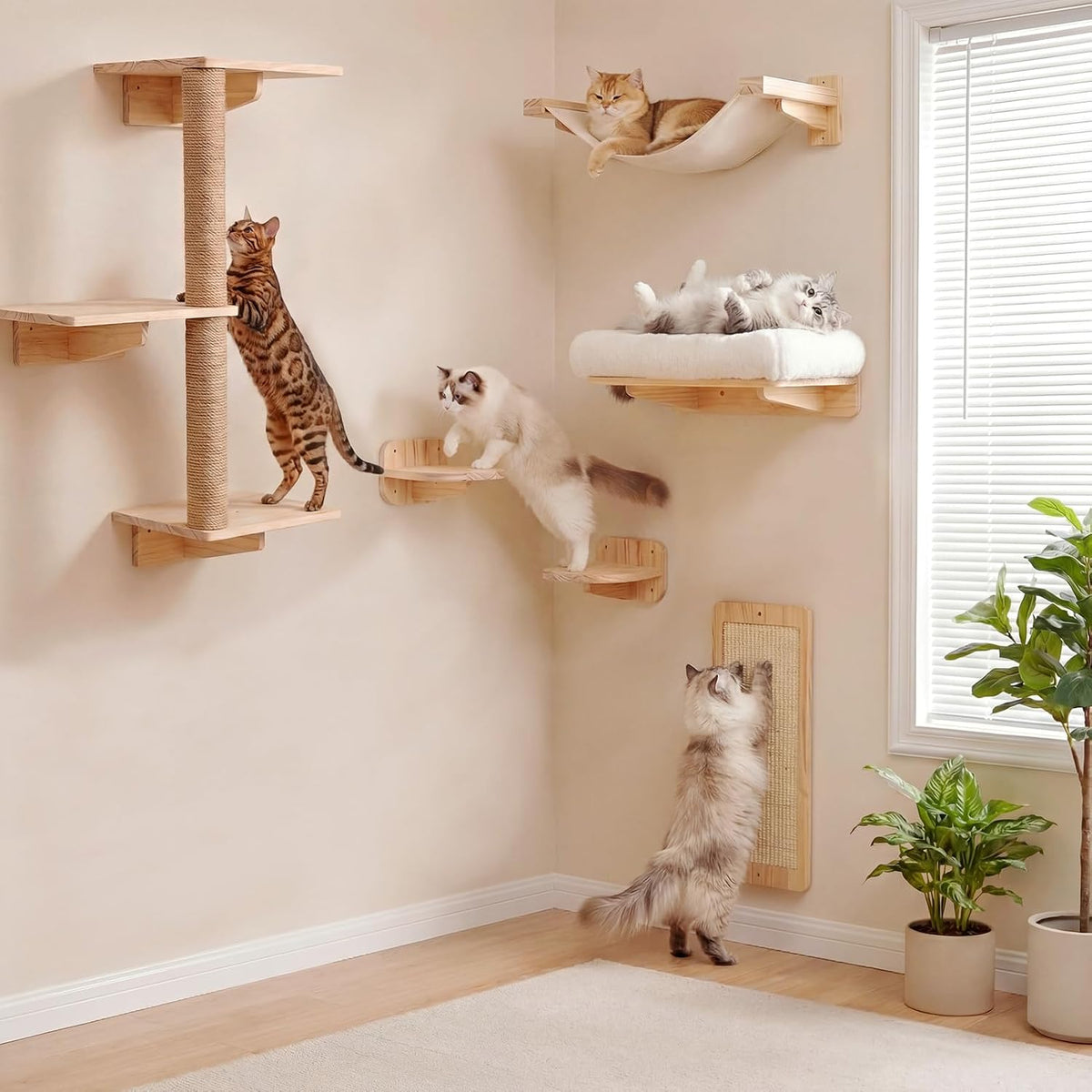 Multiple cats using wall-mounted stepping platforms, hammock and plush bed on light wood shelves in a neutral room