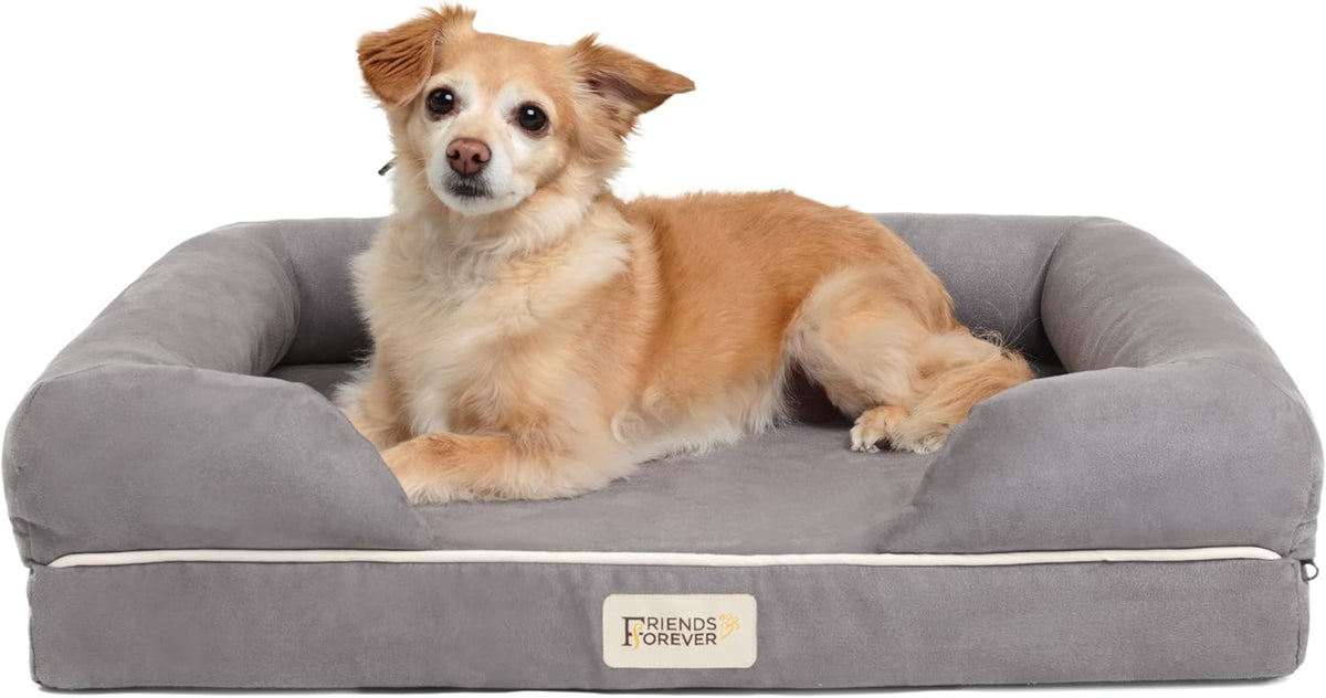 Frontal shot of a small tan dog sitting alert on the plush grey sleep surface, centered in the bolstered couch
