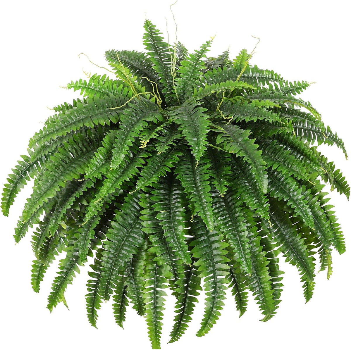 Green artificial Boston fern bush, top-down view on a white background