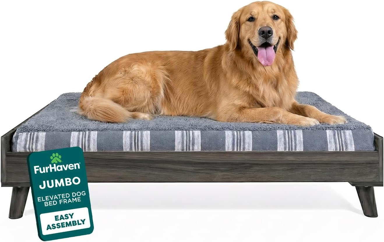 Golden retriever lying on a gray mattress inside a gray-wash elevated wooden dog bed frame