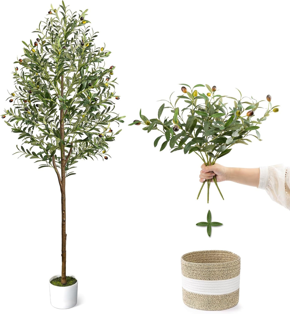 Two views of a slender potted tree and hand holding several leafy branch stems above a woven basket