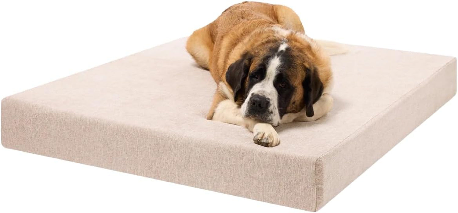 Large brown-and-white dog lying on a beige linen rectangular dog bed, angled front view on a white background
