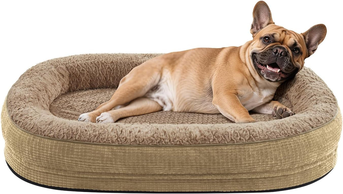 Small fawn French bulldog lying and smiling in a tan oval dog bed with plush bolster