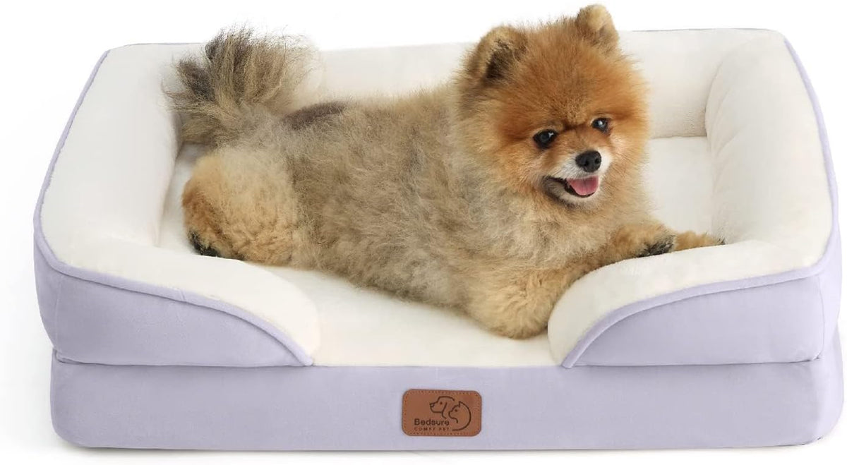 Angled front shot of a lavender bolster bed with cream interior hosting a small fluffy Pomeranian