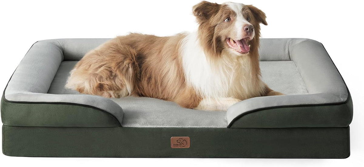 Fluffy tan-and-white dog resting on a dark green bed with light gray sleeping surface