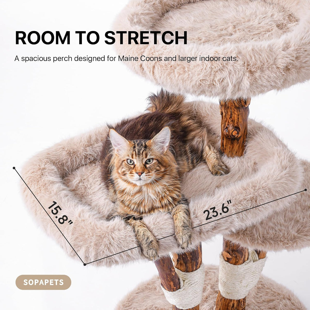 Close-up of large beige lounging bed showing 23.6 x 15.8 inch dimensions with a cat inside.