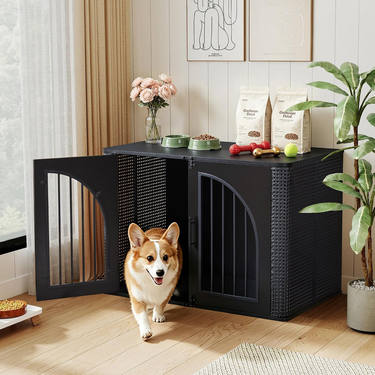 Room scene with a black dog crate, left door open and a corgi walking out onto a wood floor.