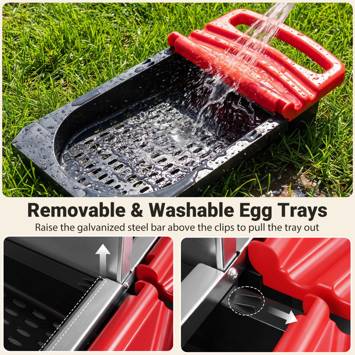 Close-up of water rinsing a black egg tray, with inset views showing how the tray is removed.