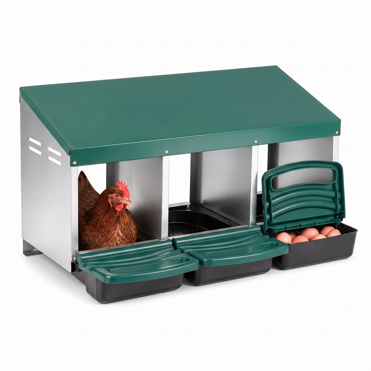 Brown hen in one compartment of the nesting box, with eggs visible in the open tray.