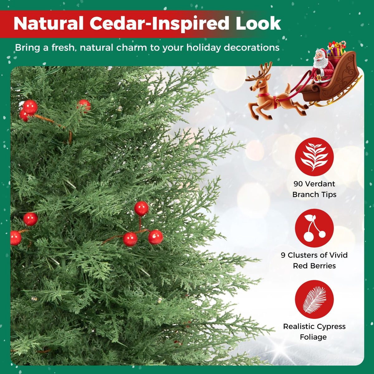 Close view of dense green tree branches with red berries beside three circular feature icons.