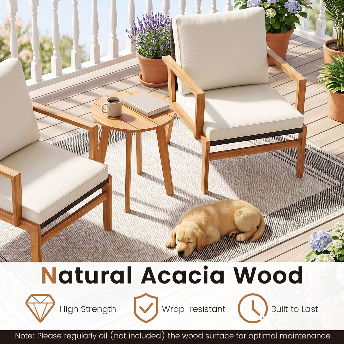 Closer view of the cushioned chairs and round table, with a mug, book, potted flowers, and a dog on the rug.