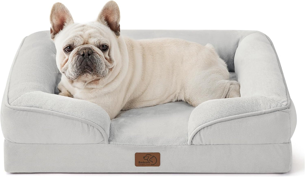 White bulldog lying in a light gray plush bolstered rectangular pet bed shown from front.