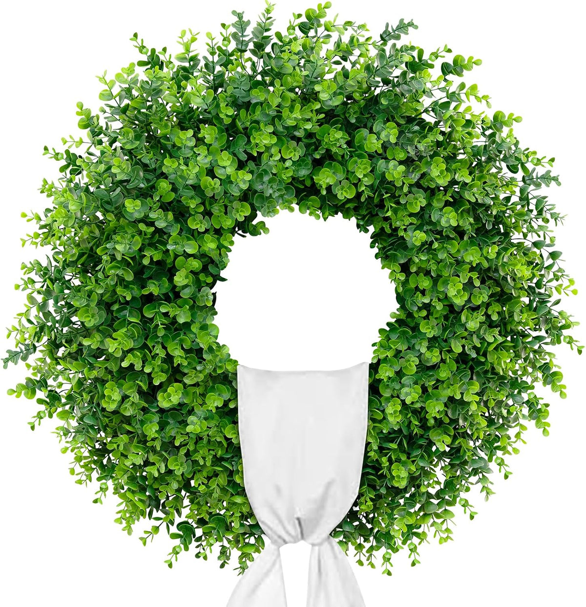Close-up of green boxwood wreath showing dense leaves and white sash