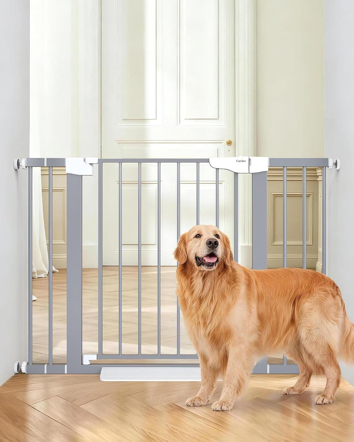 Golden retriever stands beside a gray pressure-mounted metal gate in a hallway
