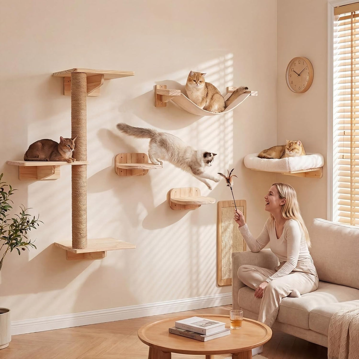 Several cats jumping and lounging on light wood wall shelves and hammock while a person plays nearby