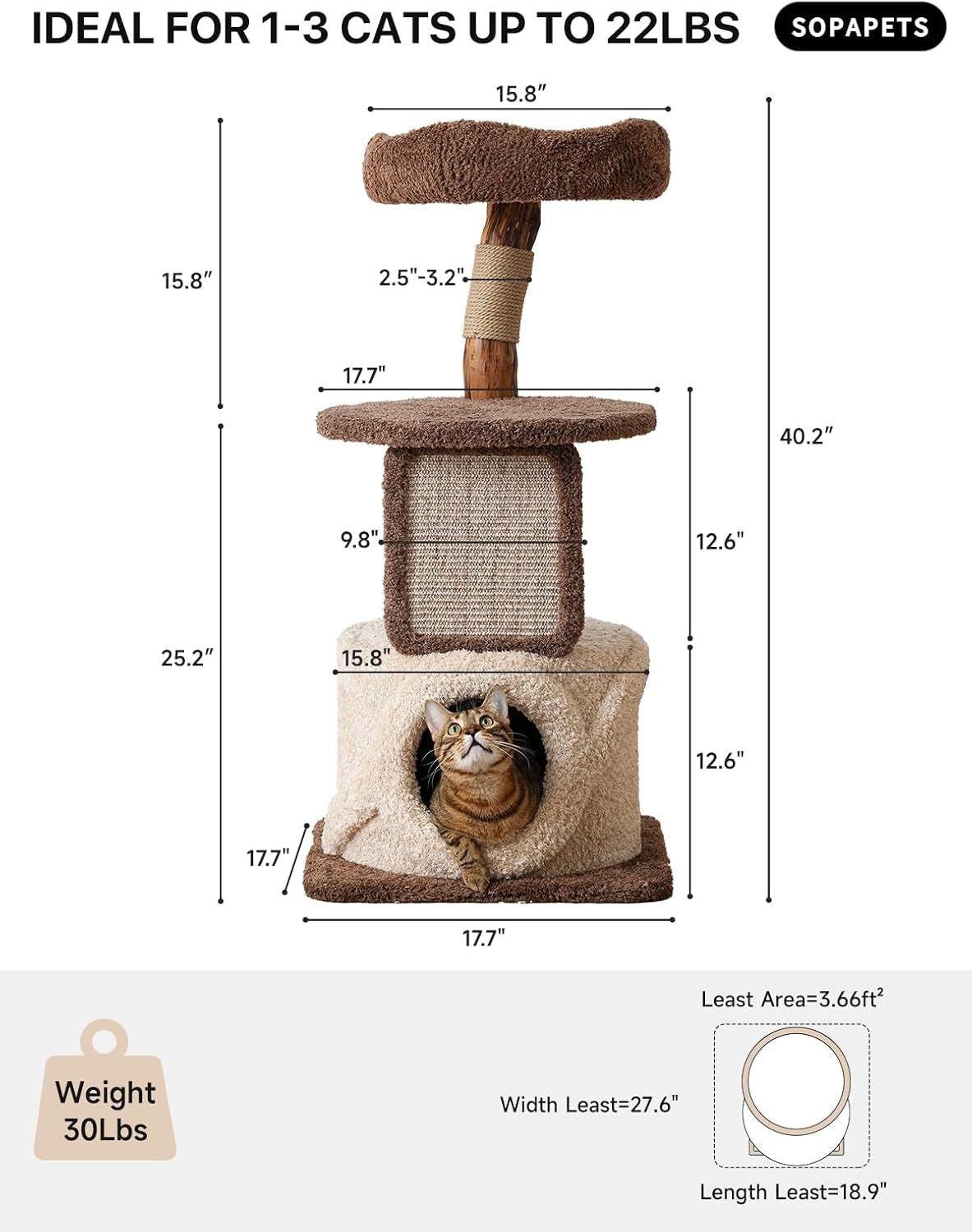 Front view of the cat tree with measurement lines and a cat peeking from the bottom condo.