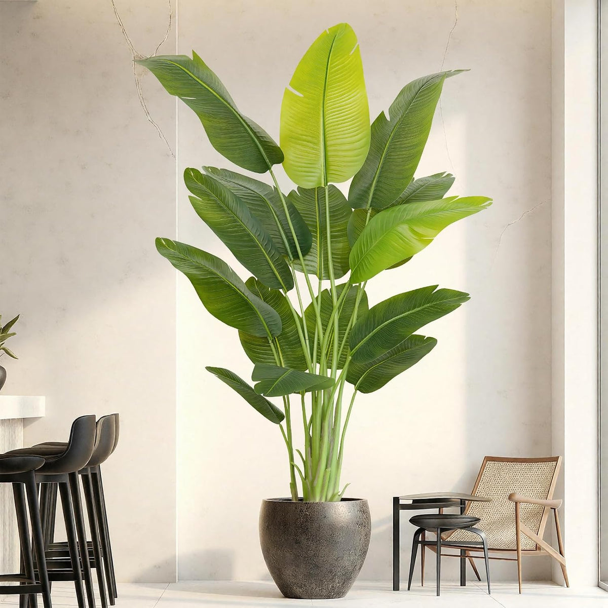 Taller Bird of Paradise in a textured dark pot placed in a modern entry with bar stools and a woven lounge chair.