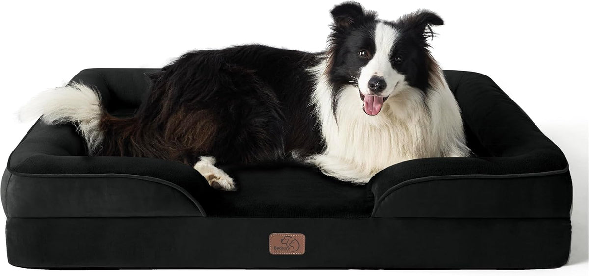 Black bolstered rectangular dog bed with a black-and-white border collie reclined and panting, centered on white background