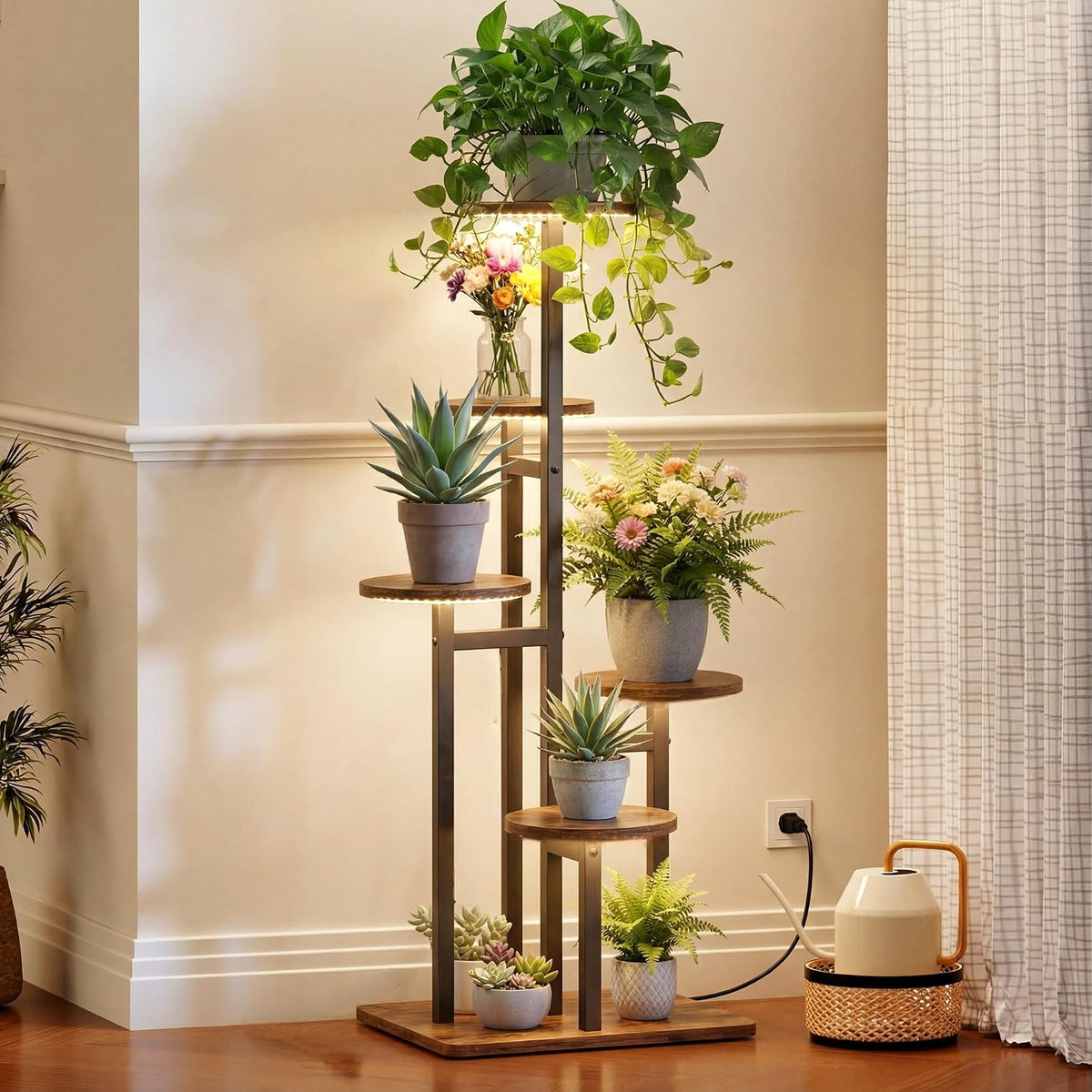 Mid-section close-up of three lit round shelves with a trailing plant and potted succulents against a neutral wall