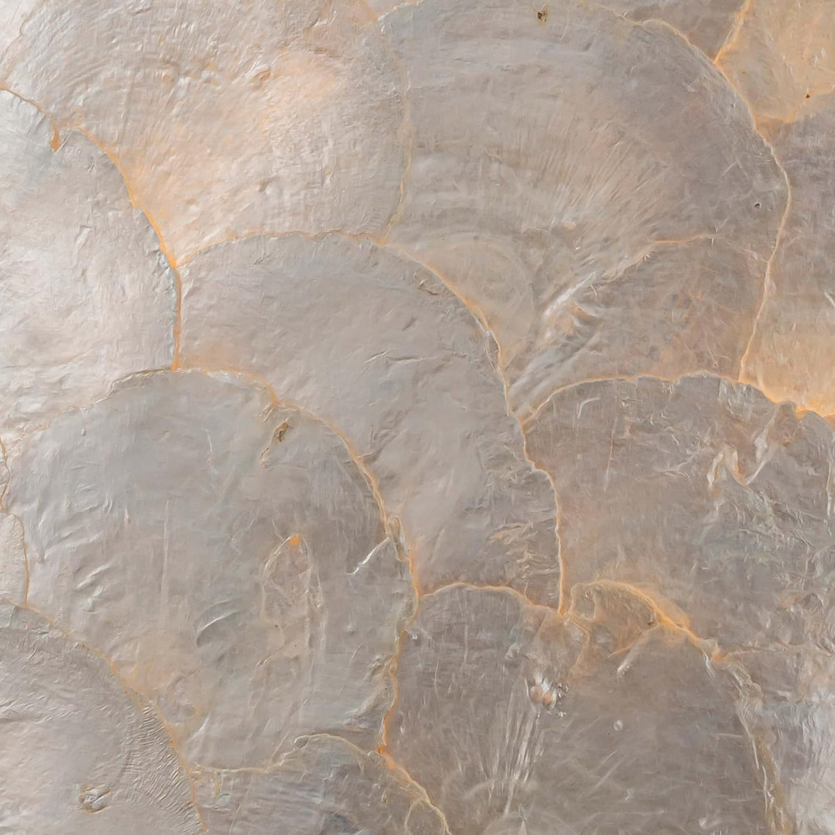 Close-up of overlapping pearlescent shell-like discs showing textured, translucent surfaces.