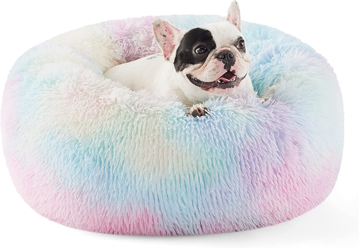 Small white dog sitting in a pastel tie-dye (pink, blue, lavender) round faux-fur donut bed.