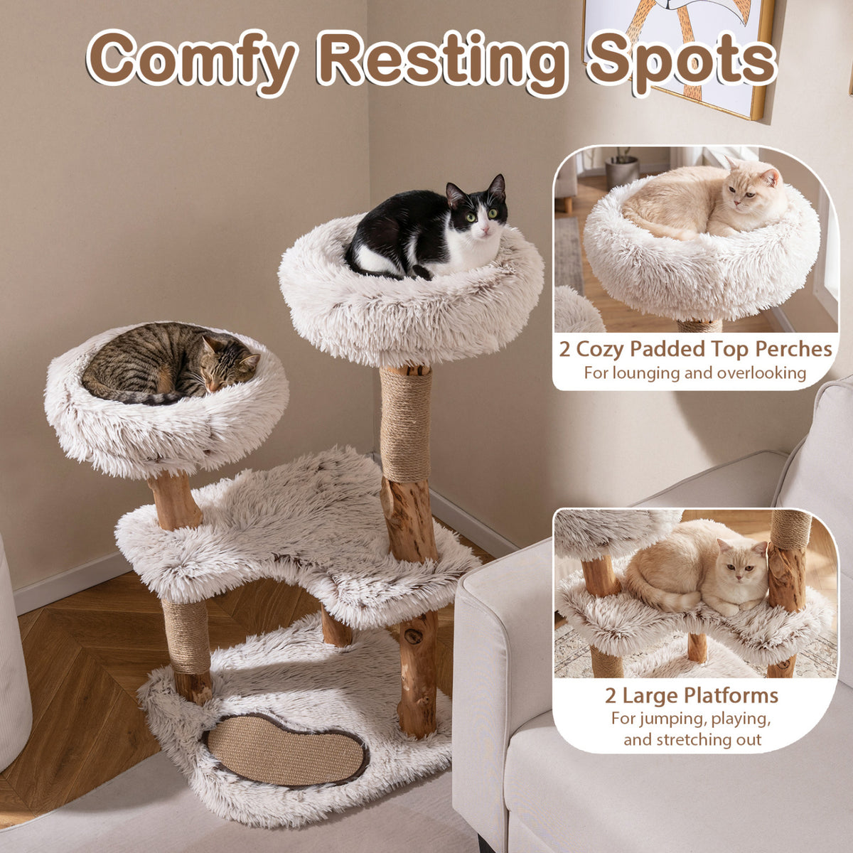 Two cats rest on the plush top beds of a natural-branch cat tree beside a sofa.