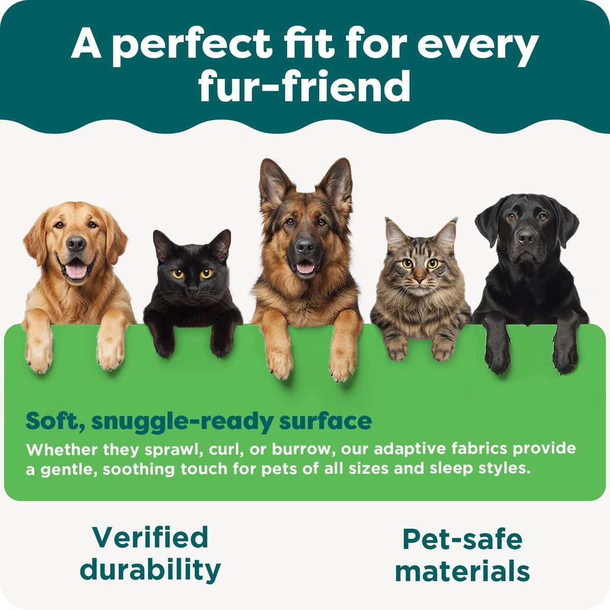 Five pets peeking over a green panel highlighting a soft, snuggle-ready surface for pets of all sizes.