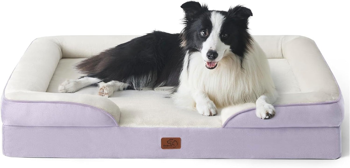 Lavender rectangular bolstered dog bed on white background with a black-and-white long-haired dog lying facing camera.