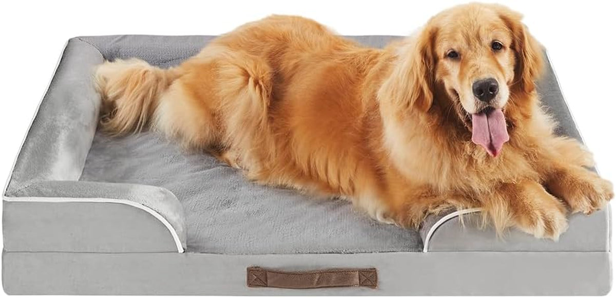 Low-angle front view of a grey bolster dog couch with a golden retriever lying across the sleep surface, tongue out.