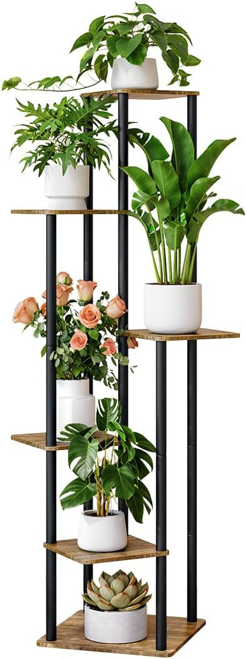 Tall vertical crop showing a narrow column of shelves with roses, a leafy plant and a succulent at the base