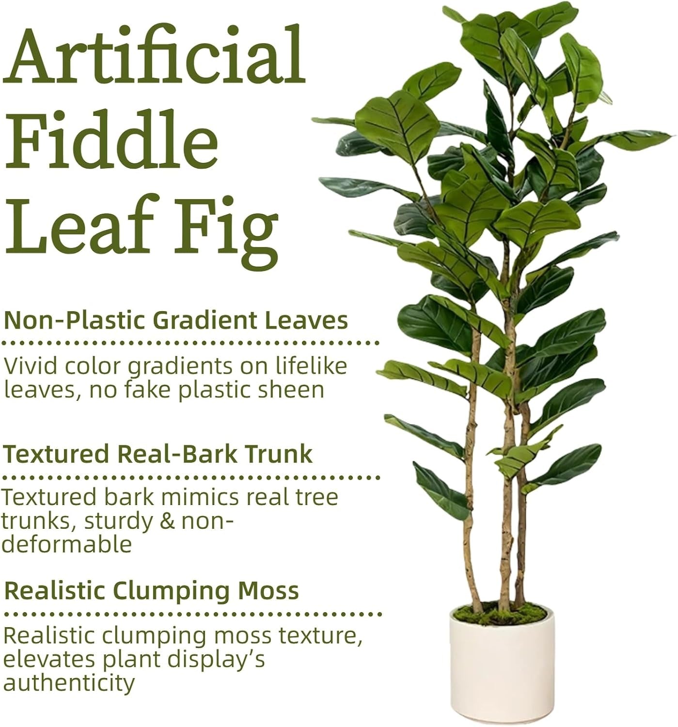 Close-up view of fiddle leaf fig foliage showing gradient leaves and textured trunks beside product text
