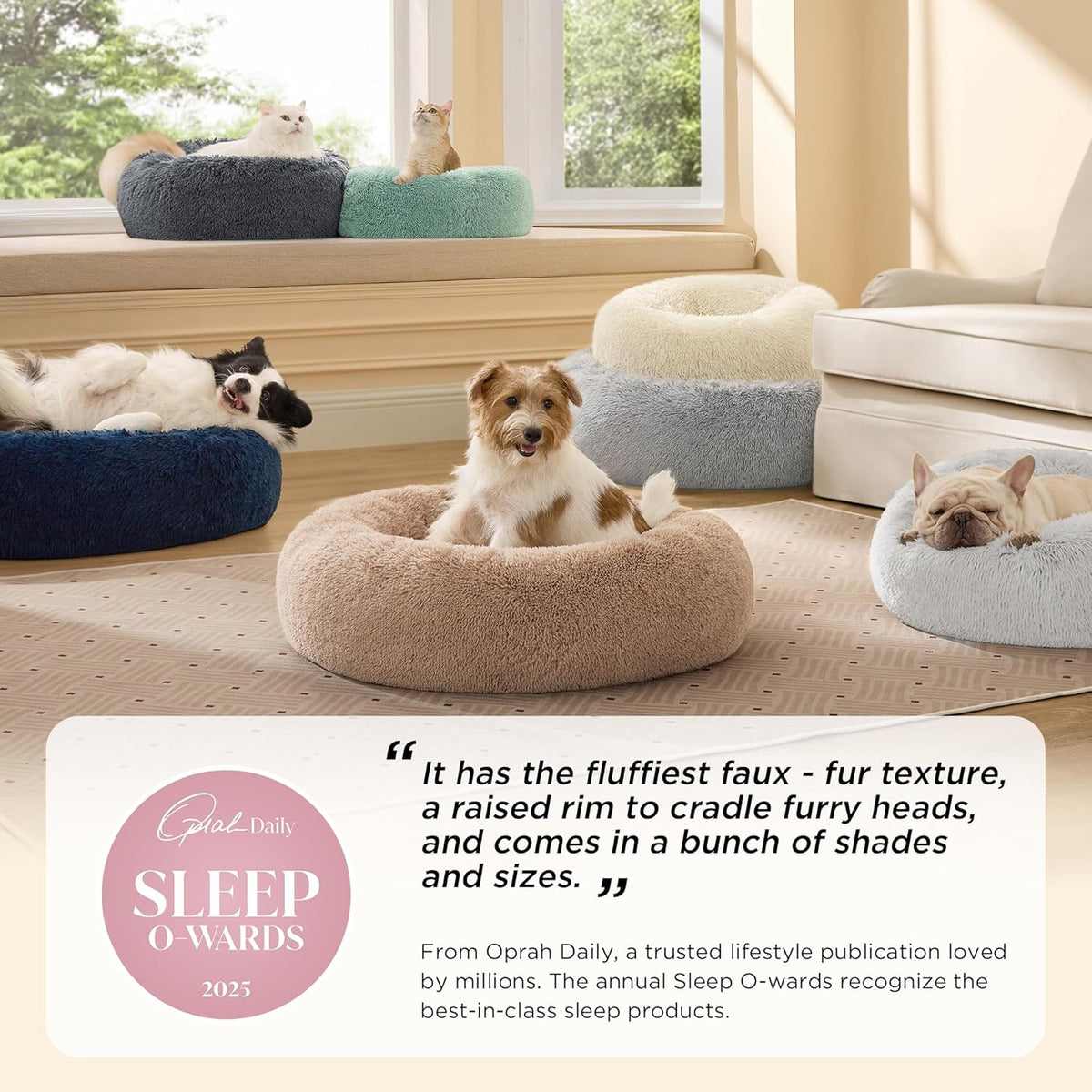 Several round fluffy pet beds in different colors with dogs and cats lounging by a bright window