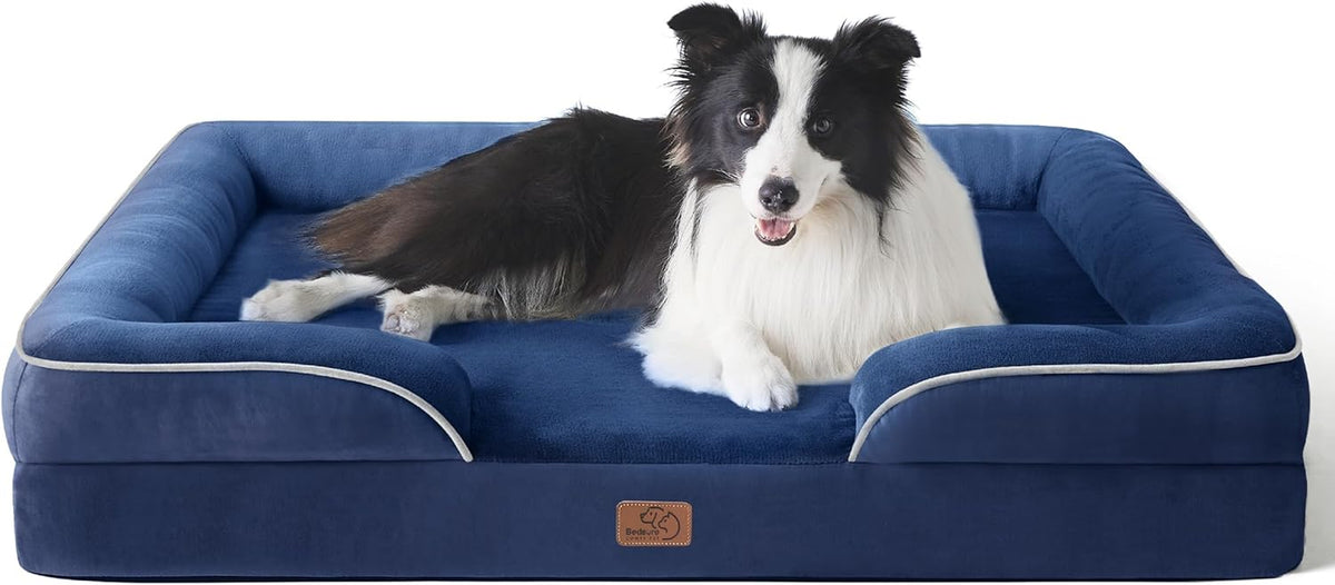 Front view of a deep blue bolster bed with light trim and a black-and-white border collie sitting alert on the cushion.