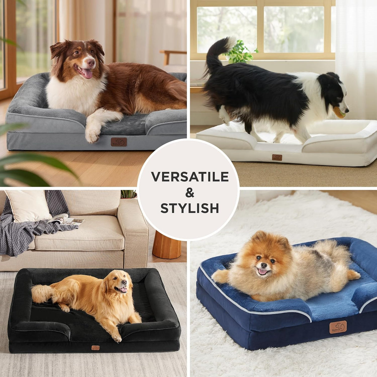 Four lifestyle shots showing different dogs lounging on various colored rectangular bolstered dog beds.