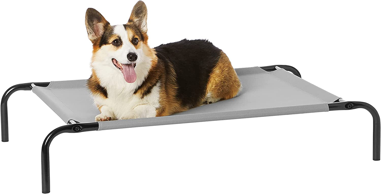 Corgi lying on a raised light grey fabric pet bed with black rounded metal legs.