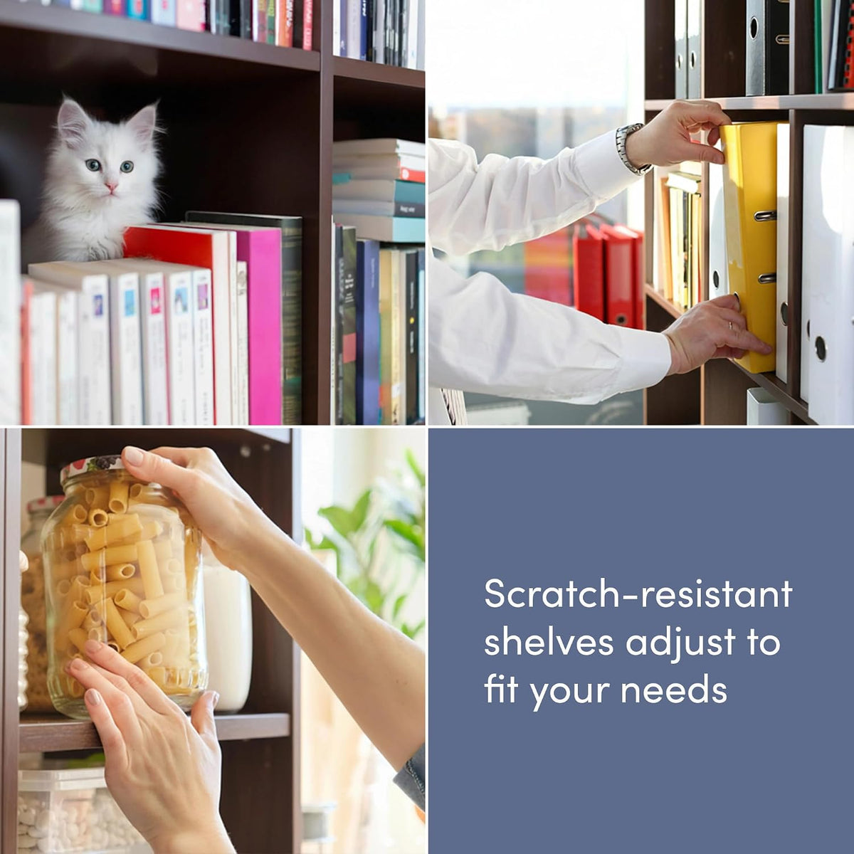 Four-panel collage: a kitten on a bookshelf, hands placing binders, hands reaching for a jar, and a blue panel about