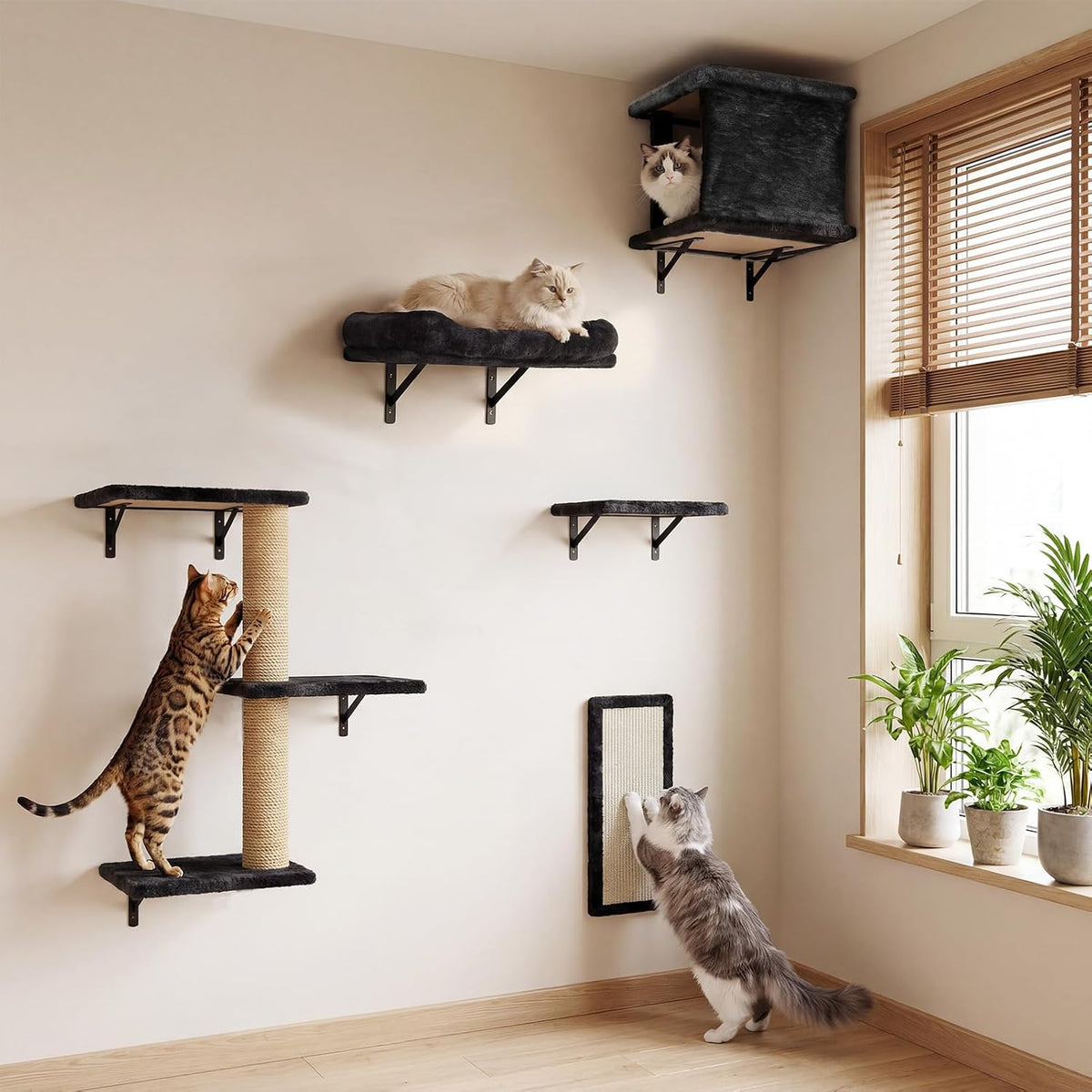 Black-fabric covered wall shelves and cubby with sisal post in a corner beside a window, cats climbing and lounging